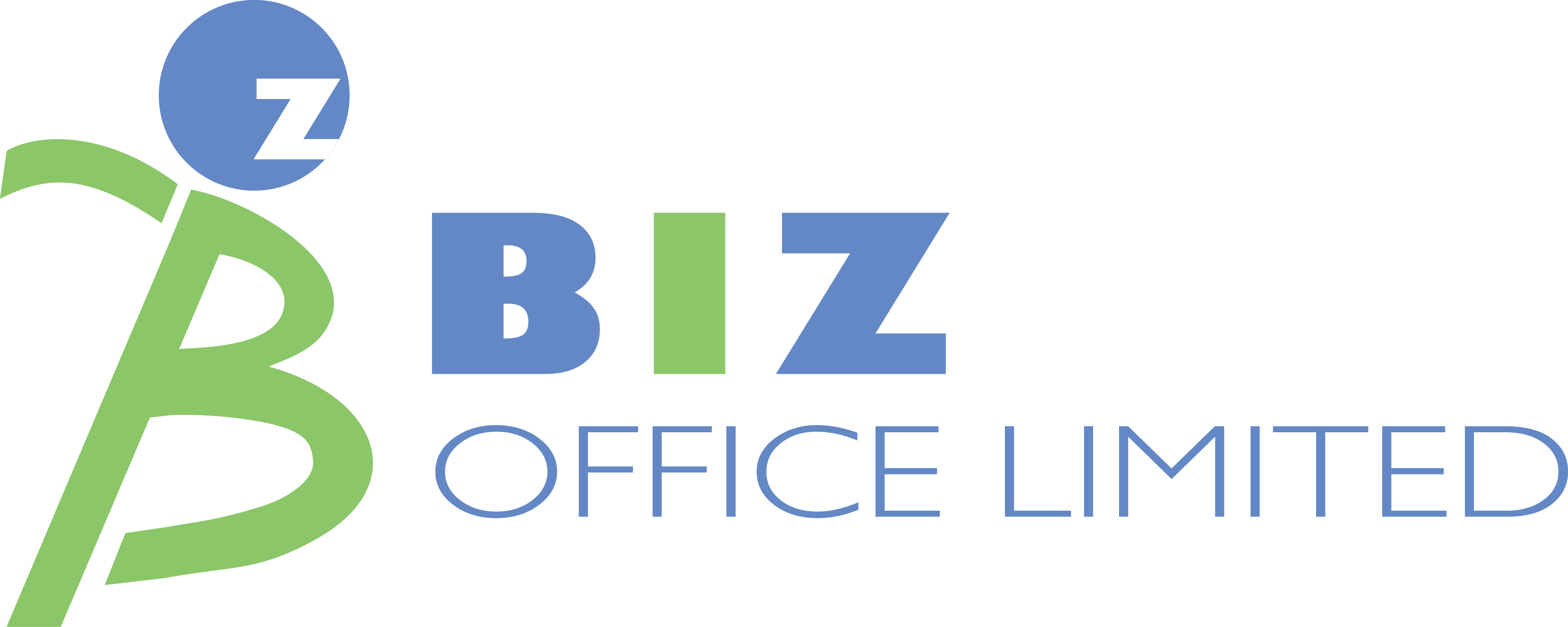 Biz Office